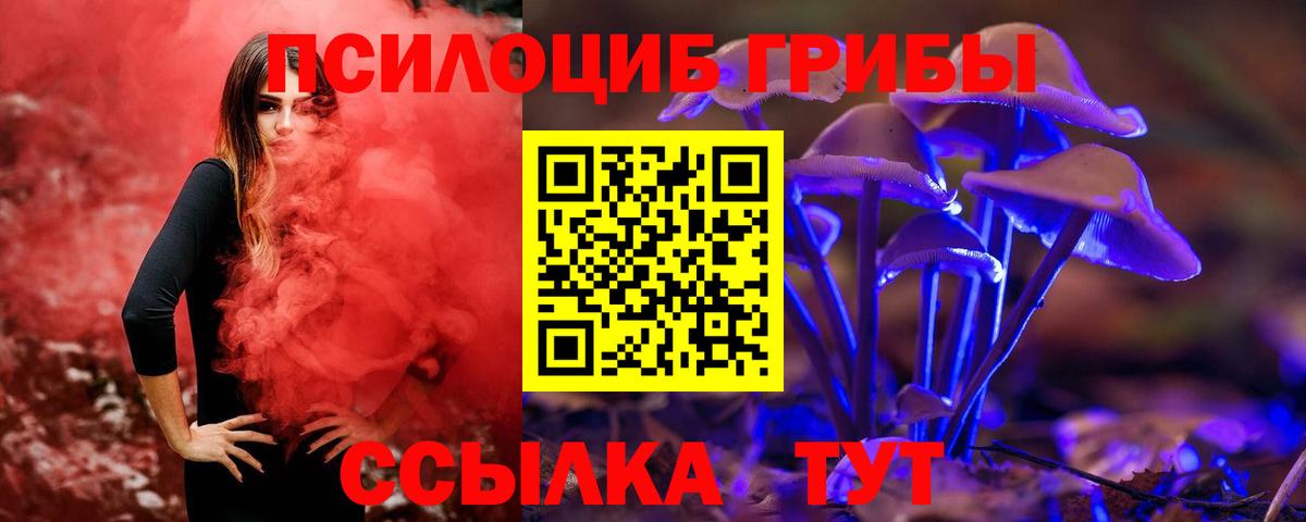 Куйбышев  наркота  Вход с VPN  Псилоцибиновые грибы Magic Shrooms 